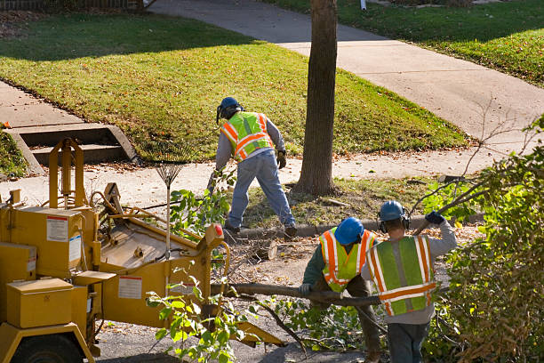 Lawn Irrigation Installation and Maintenance in Hartsville, SC